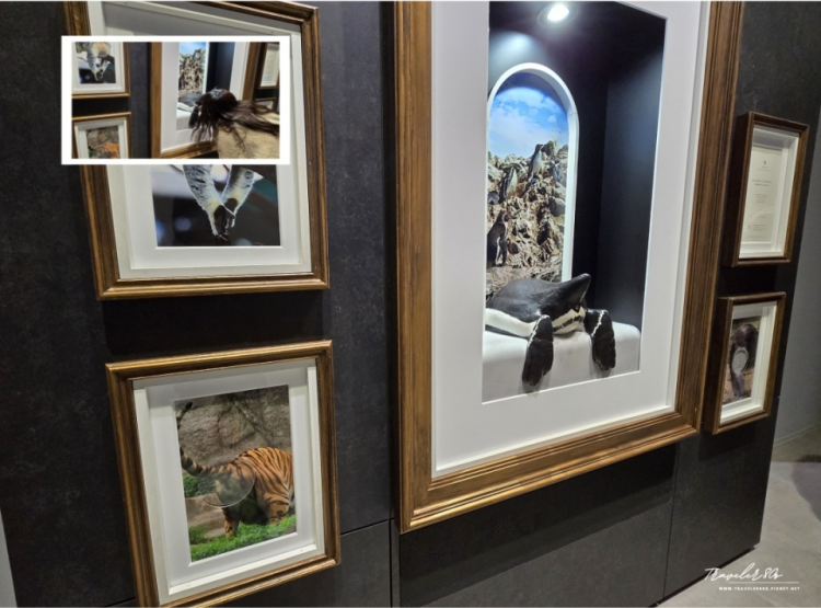 【日本。神戶】※景點※ AQUARIUM × ART átoa 神戶水族館 (PART 6)