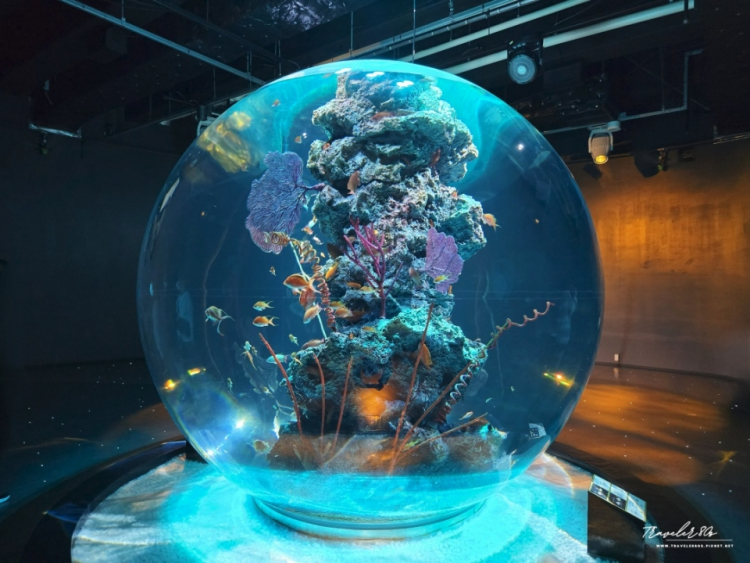 【日本。神戶】※景點※ AQUARIUM × ART átoa 神戶水族館 (PART 5)